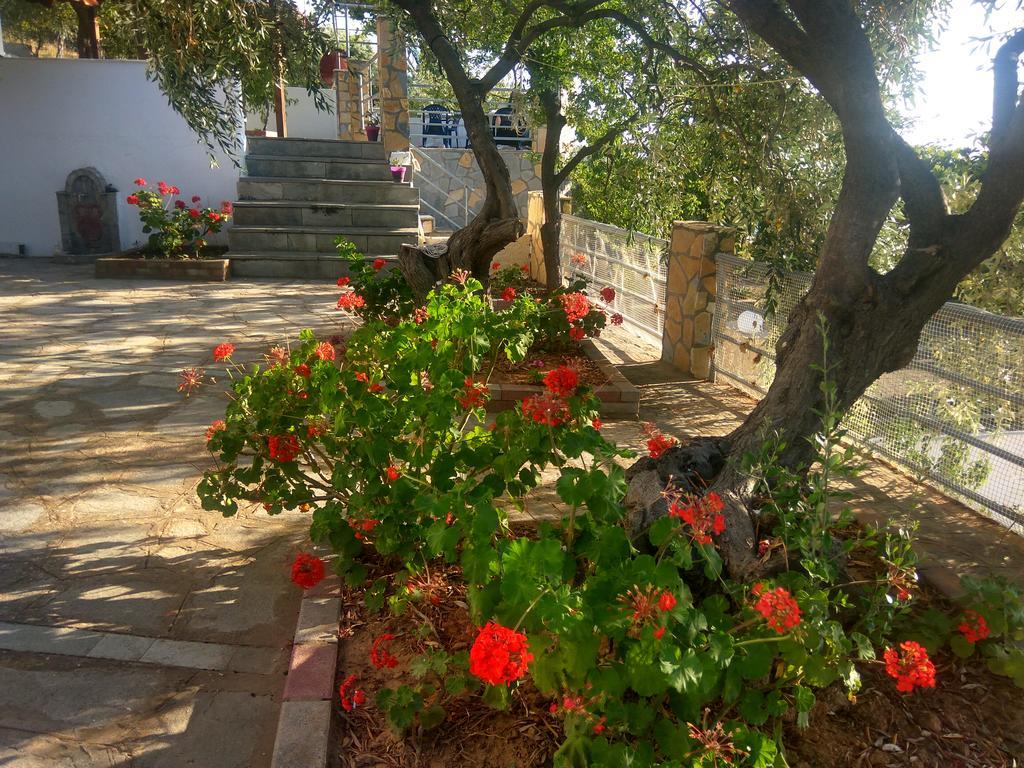 Karantola Studios Kallirachi Skala Kallirakhis Luaran gambar